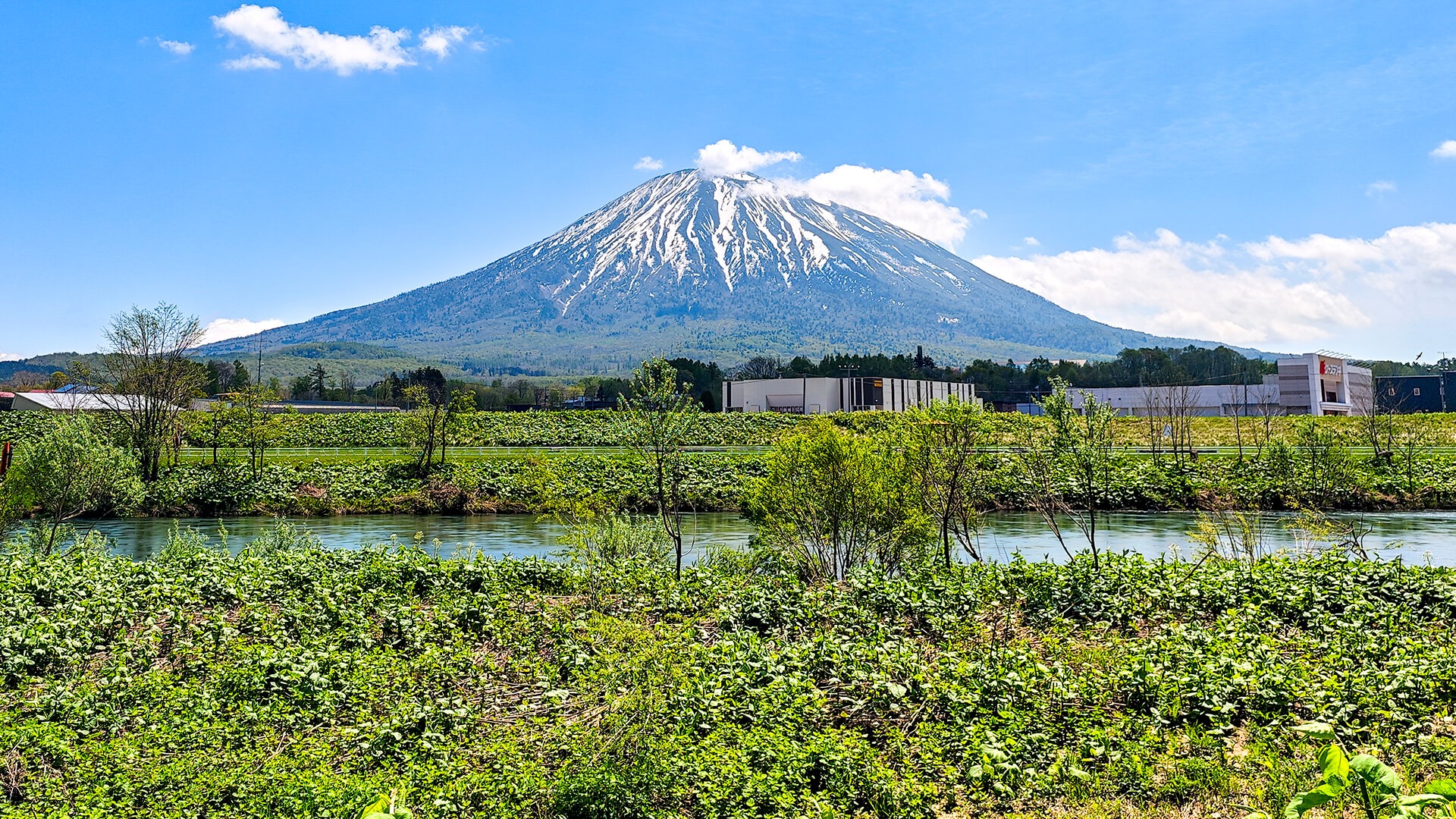 自由で静かな、ニセコの隠れ家